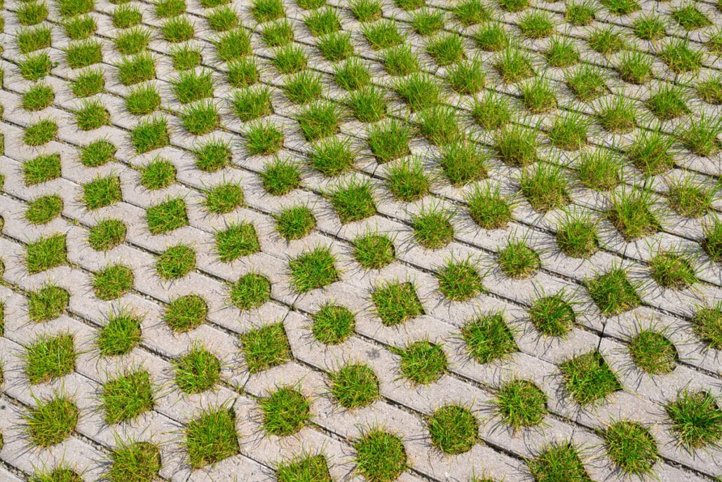 230519 Dordrecht 3931